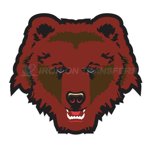 Brown Bears logo T-shirts Iron On Transfers N4031